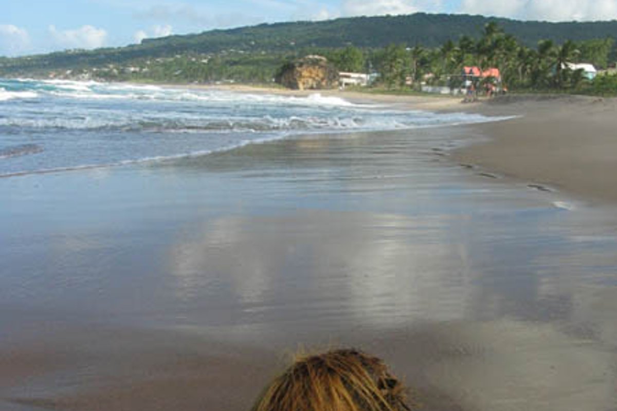 Soup Bowl (Bathsheba)