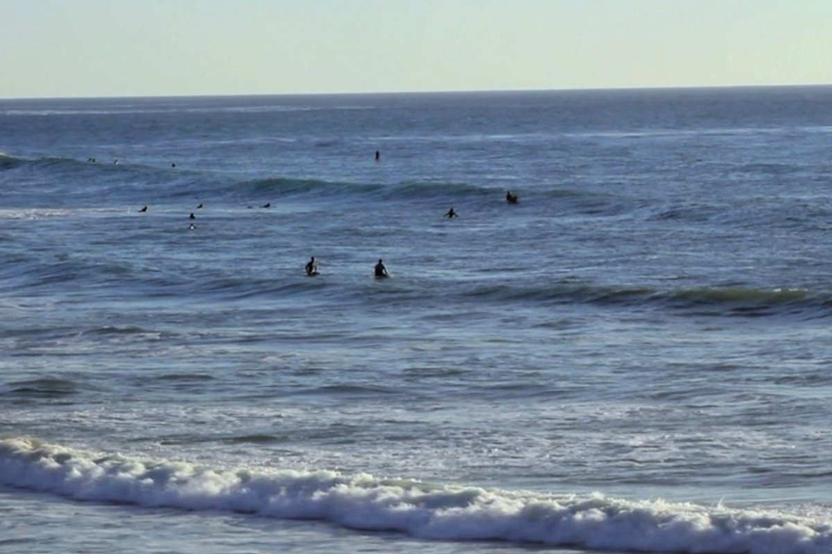 Swamis