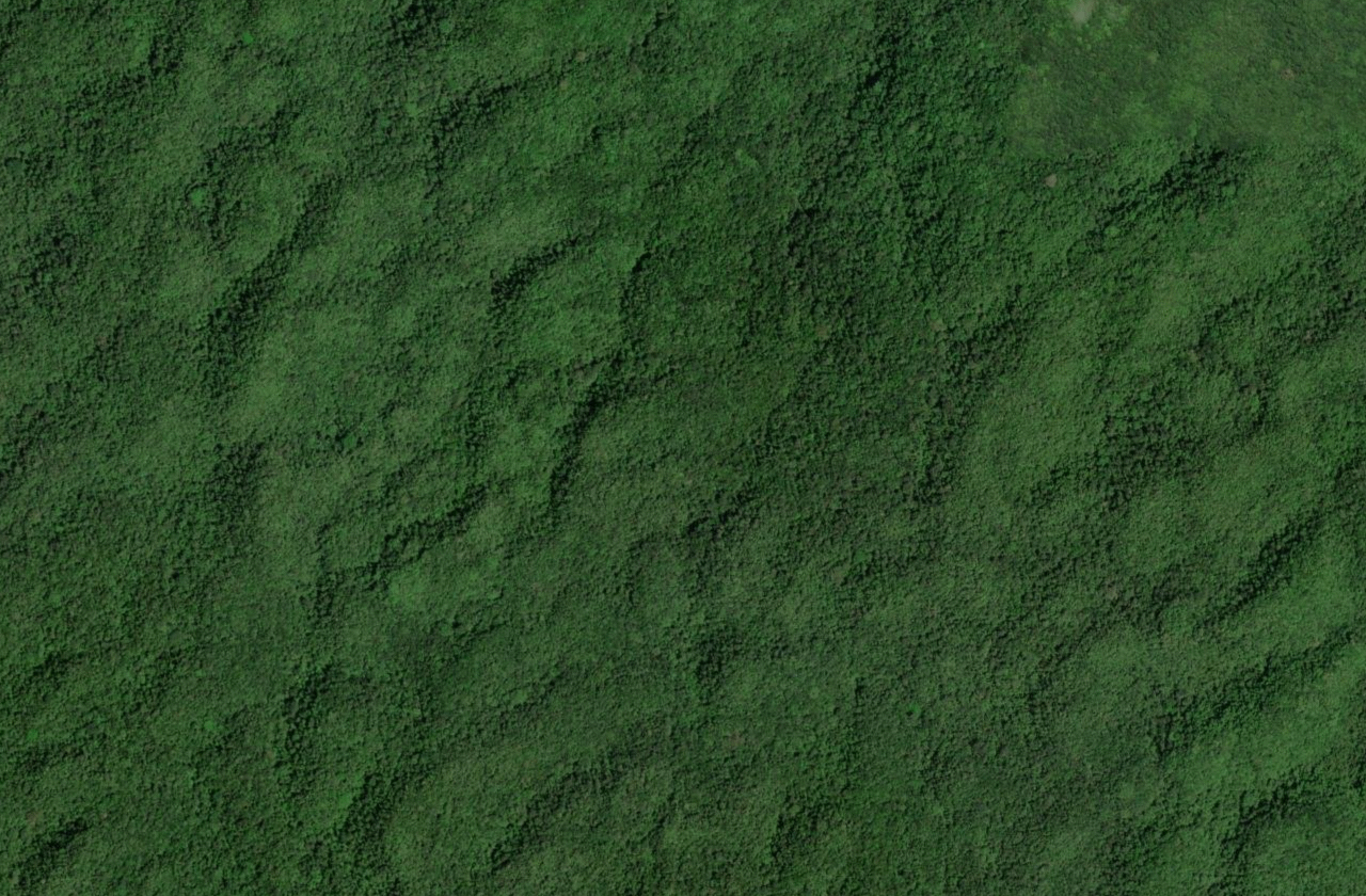 Satellite view of Boston Bay