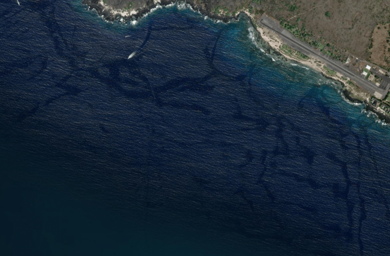 Satellite view of Pine Trees