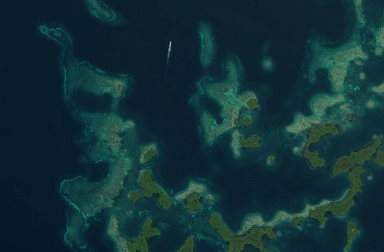 Satellite view of Silverbacks